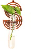 Wood Letter Wall Planter Terrariums Propagation Station with Test Tube Clear Flower Vase for Hydroponics Custom Vertical Garden Walnut DIY Home Decor Hanging Plant Holder Alphabet
