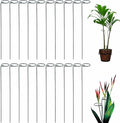 24 Inches Single Stem Plant Support Stakes Steel Garden Stakes Plant Atem Support, Pack of 20