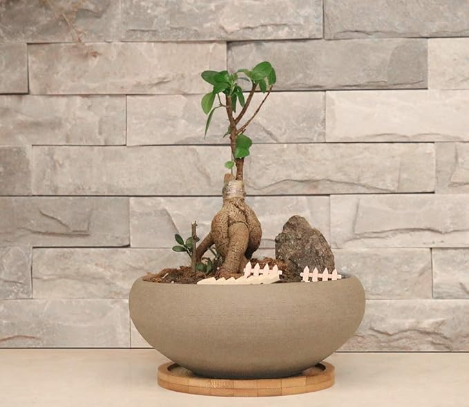 MUZHI Round Unglazed Ceramic Bonsai Pot with Bamboo Tray, Large Rough Pottery Succulent Planter with Drainage Hole 8 inch … (8”)