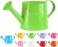 Metal Watering Can - 1L Vintage Sprinkling Can Plant Watering Can for Outdoor Indoor Plants, Tinplate Watering Kettle Gardening Tool, Galvanized Steel Watering Cans for Flowers (Green)