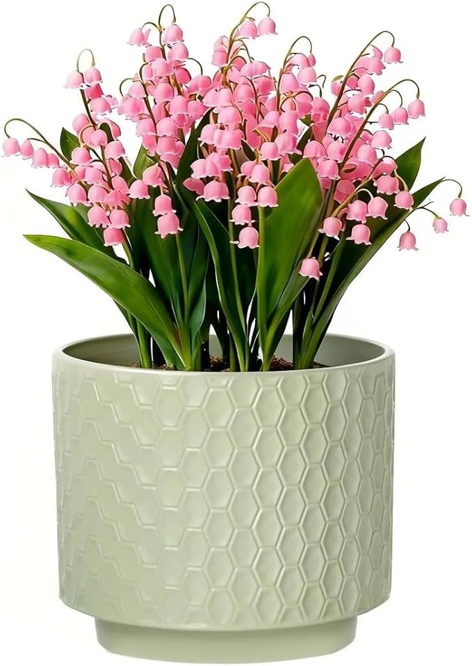 6 Inch Ceramic Pots for Indoor Plants with Drainage Hole & Floral Design, Planter for Home Decor on Windowsill, Tabletop, Office (Light Green)