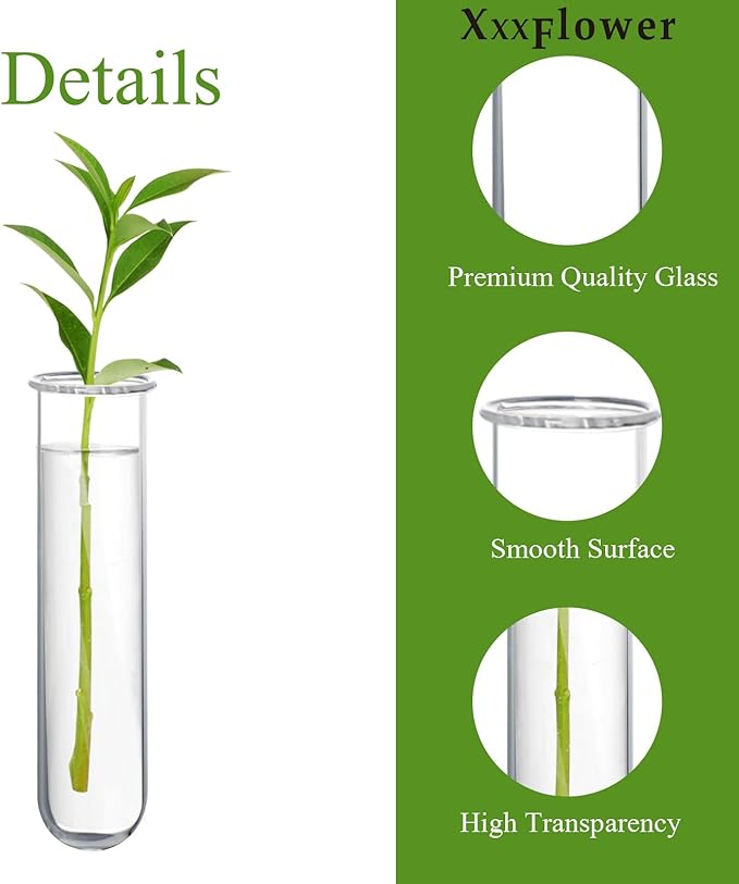 XXXFLOWER Glass Propagation Stations Accessories Glass Test Tubes Tiers Planters Wall Terrarium for Home Office Plant Hanger Flower Vases Wall Decor Hydroponic Cuttings (4 Tube Vases) Clear