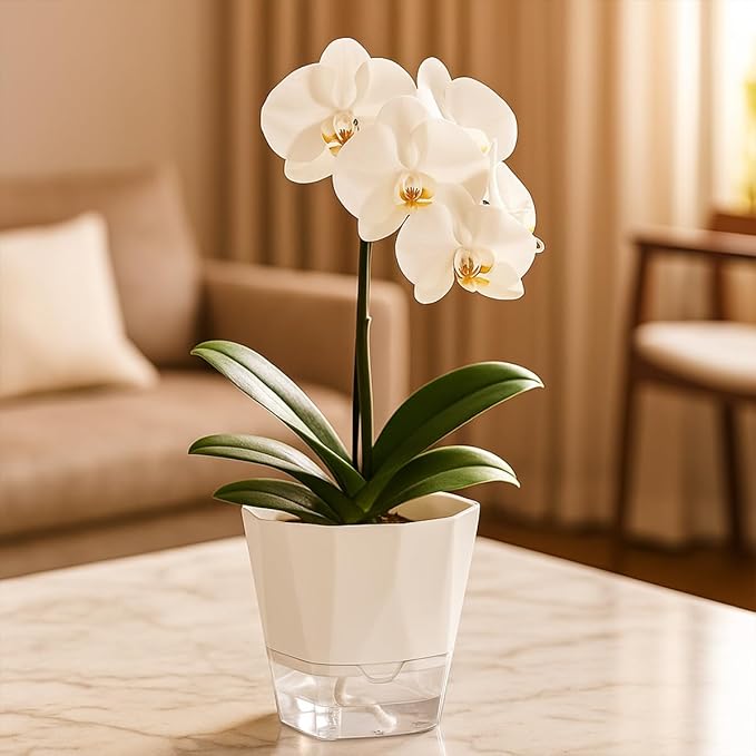 4 Pack Self Watering Pots for Indoor Plants, 10 Inches Self Watering Planters African Violet Pots Clear Pots for Herb Orchid Flower Houseplant, White