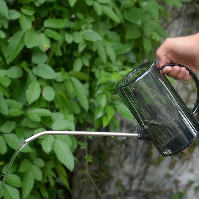 Toddmomy 2pcs 1l Long Spout Watering Cans for Indoor Plants and Succulents, 304 Stainless Steel with Measurement Markings, Black and Green, Sturdy Garden Watering Tools for Home Use
