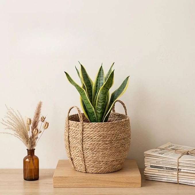 10 inch Large Seagrass Woven Planter Basket with Handles - Wicker Planter Basket with Plastic Film Insert for Indoor Plants, Large Monstera Pot, Woven Storage Basket, Boho Home Decor