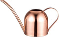IMEEA Mini Indoor Watering Can for Small Plants, Stainless Steel with Long Spout, 15oz/450ml – Perfect for Desk, Windowsill & Bonsai