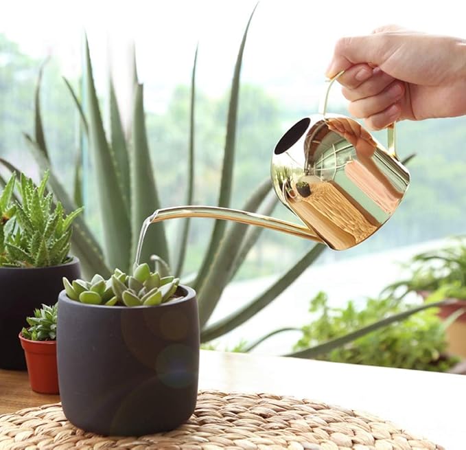 Watering Can for Indoor Outdoor Plants, Stainless Steel Long Spout Watering Cans for House Plants Long Spout Water Can for Succulent Bonsai Garden Flower, 17oz/500ml (Gold)