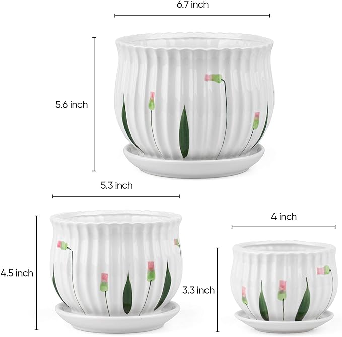 Foraineam Set of 3 Ceramic Plant Pots Small to Large Sized Garden Flower Planter Pot Round Modern Succulent Cactus Containers with Drainage and Saucer