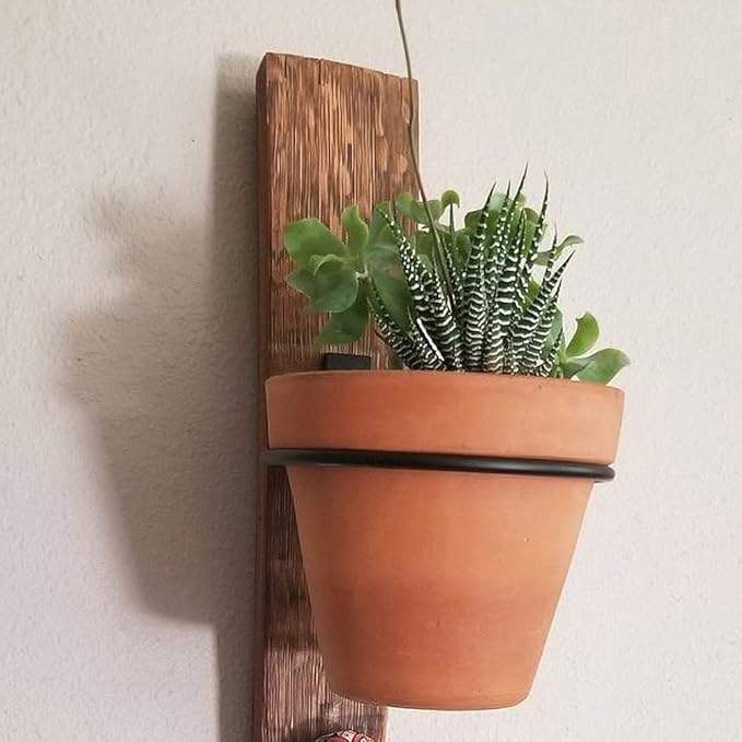 Sivya 4 Pack 6in Flower Pot Holder Ring Wall Mounted Metal Planter Hooks Hangers (4, 6")