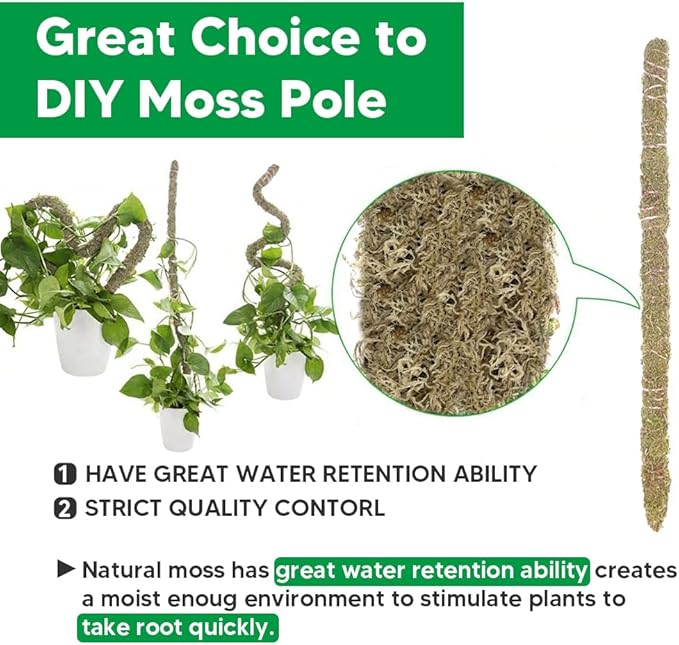 Natural Long Fiber Sphagnum Moss 1196QT for Orchid Potting Mix, and Moss Pole for Plants Indoor. Ideal for Propagating Plants, Maintaining Humidity for Reptiles, Isopods in Paludarium (22 lb)