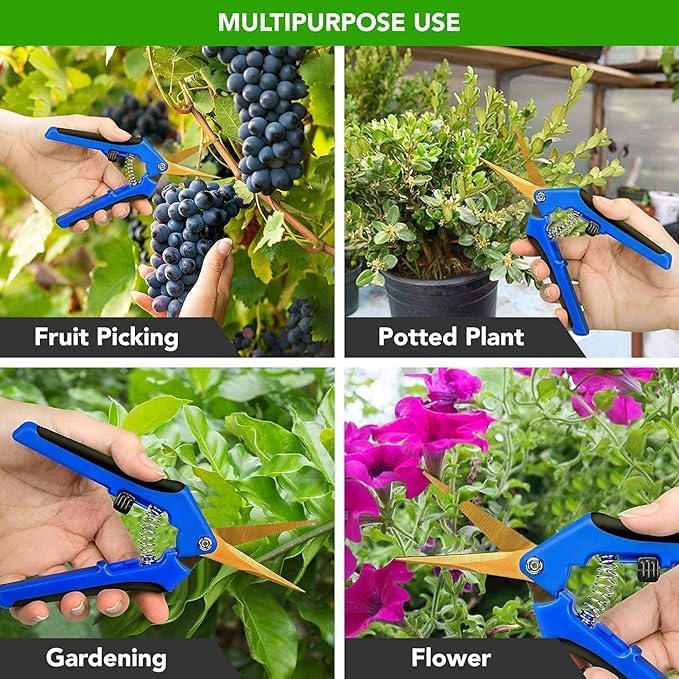 iPower 6.5 Inch Garden Hand Pruner Shears with Straight Stainless Steel Scissors, for Hydroponic Trimming Herb/Flowers/Vegetables/Plants, Blue, 1-Pack