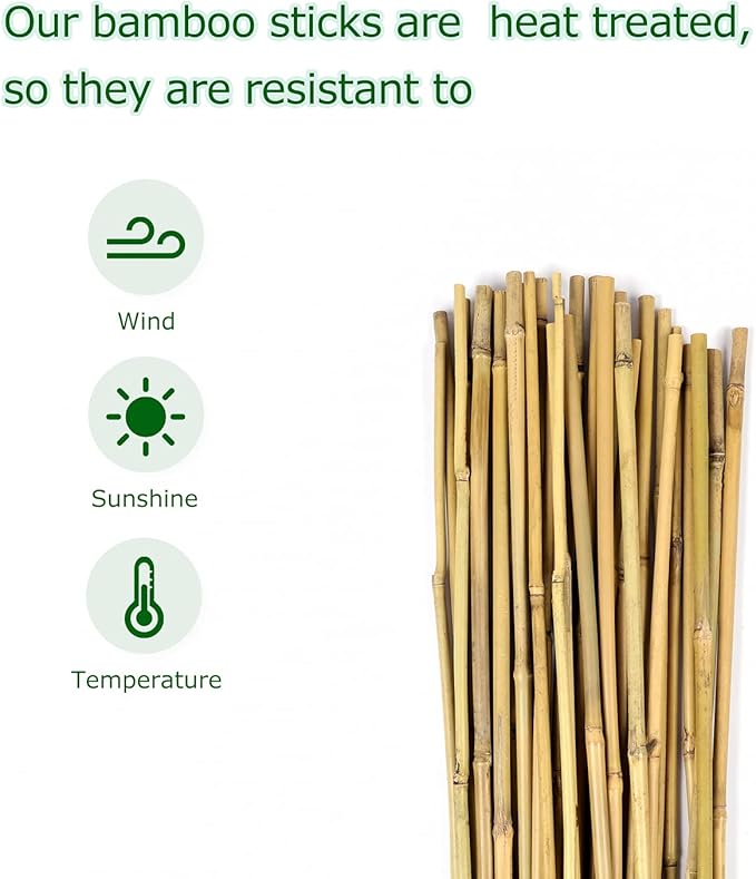 Cambaverd 40pcs Natural Bamboo Sticks for Indoor and Outdoor Plants, 16 Inch Plant Support Stakes for Tomato, Beans, Potted Plants and Vegetable