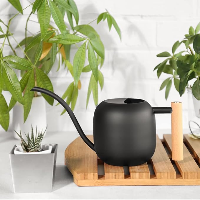 Small Watering Can for Indoor Plants, 45oz/1.2L Metal Watering Can with Long Spout, Wooden Handle for Comfortable Grip, Indoor Plant Watering Can, Decorative Mini Watering Can