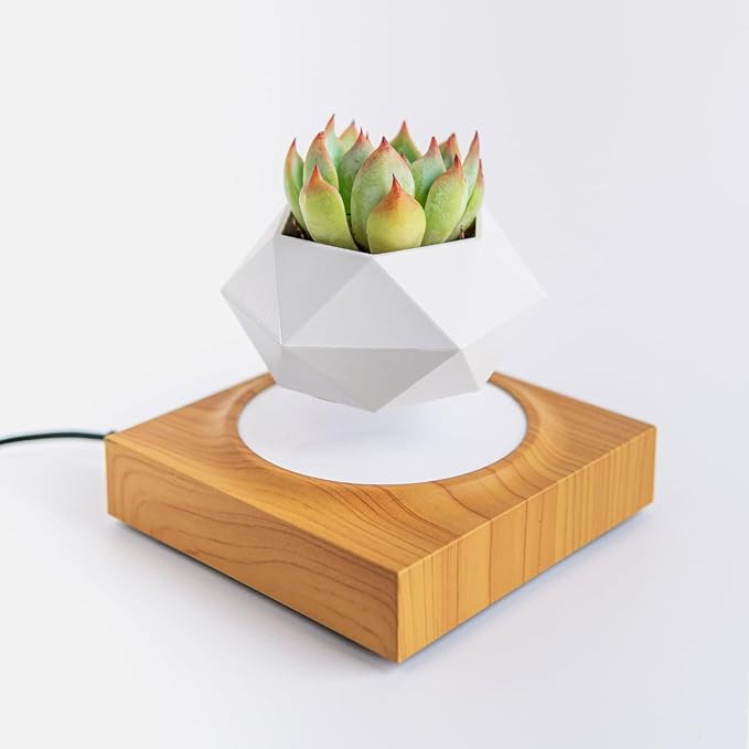 HCNT Levitation Air Bonsai Pot, Magnetic Levitating Mini Rotating Flower Pot Planters Suspension Floating Succulents Pot Sky-Garden Plant Potted for Home, Office
