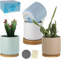 TAMAYKIM 4 Inch Ceramic Plant Pots with Drainage Hole and Saucer, Small Modern Flower Pots with Trays for Succulent, Cactus and Herbs, Morandi Colors, Set of 4