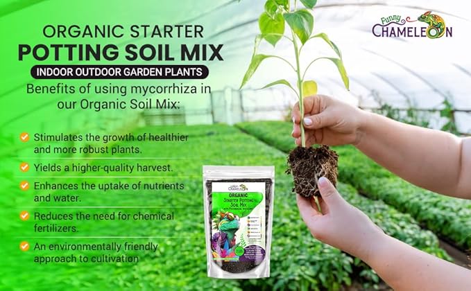 Organic Seed Starter Soil – Seed Starting Mix with Mycorrhizal Fungi – Natural Root Stimulator – Potting Soil for Vegetables and Herbs (20 QUARTS)