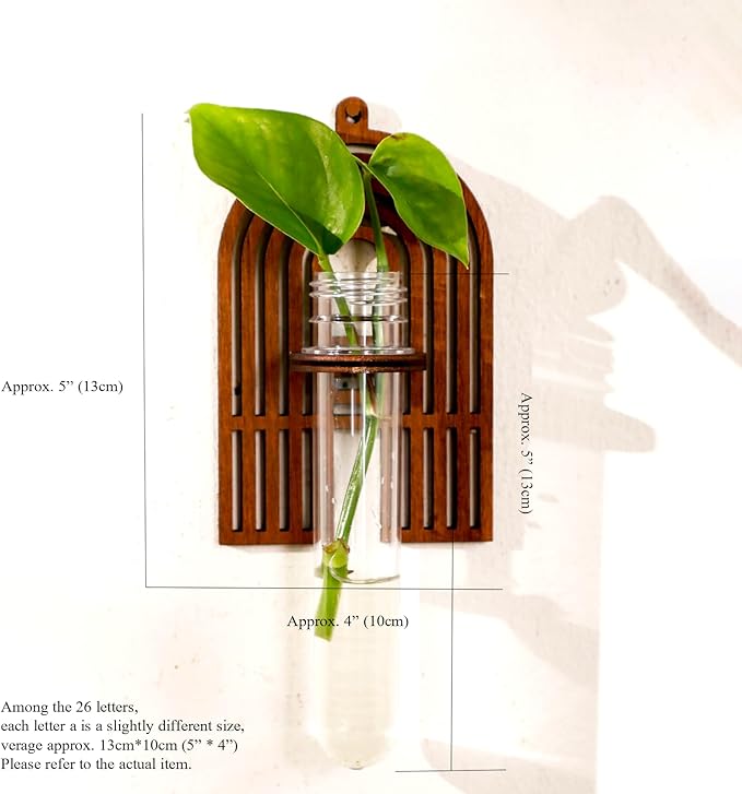 5 Pack Letter Wall Propagation Planters Test Tubes Wall Decor for Hanging Plants Clear Water Plant Vase Brown Wood Upletter Alphabet Functional Art Boho Set Dream