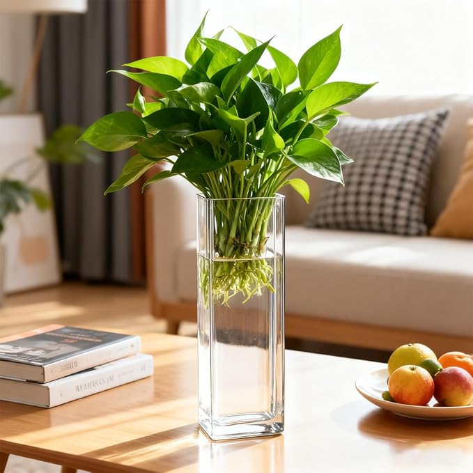 6 Pcs Glass Wall Mounted Planters, Hanging Glass Tubes Flower Vase, Wall Vase for Plants Indoor, Propagation Wall Planter Container for Hydroponics Plants, Garden Wedding Decor