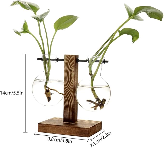 Glass Test Tube Holder in Wooden Stand, Hydroponic Vase, Indoor Desktop Plant Terrarium, Glass Flowerpot with Vintage Wood Frame Holder for Hydroponic Plant Family Garden Wedding Decoration(A3)