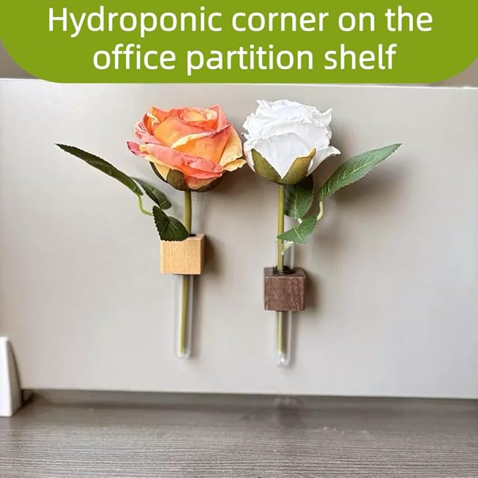 3PCS Mini Plant Propagation Station Set - for Window, Fridge, Wall, Office, Kitchen Decor, Home Plant Display,Inculd Glass Test Tube Vases Magnet and Adhesive Backed Wooden Holders