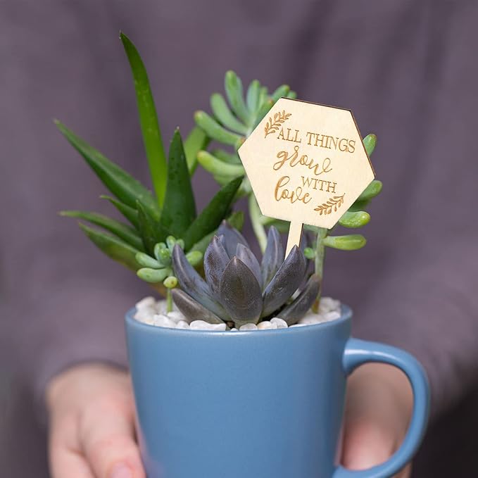 AnyDesign 30 Pcs All Things Grow with Love Labels Succulent Tags Hexagon Wooden Plant Stakes Labels Garden Marker Plant Sign for Seed Potted Teacher Appreciation Gift Thanksgiving Baby Shower