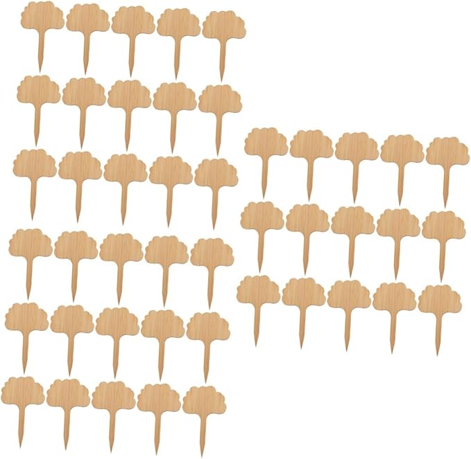 Kisangel 60pcs Indoor Plant Labels Thicken Bamboo Miniature Decor Sign for Succulent Plants Tags