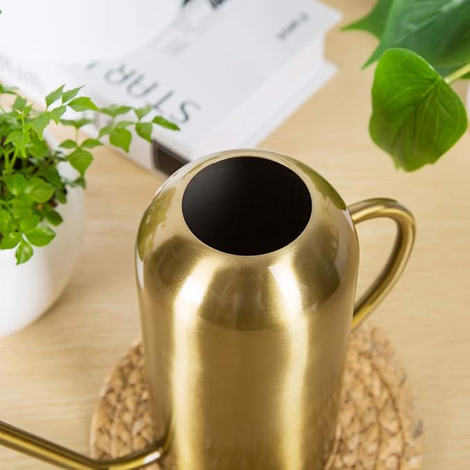 Stainless Stee Watering Can for Indoor Plants and Garden, Watering Pot 40oz/3gallon, Gold