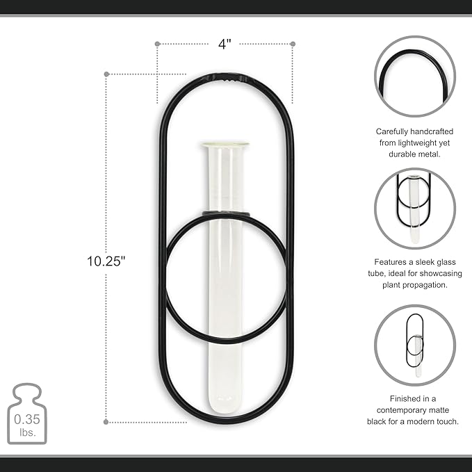 Sephra 10.25" Oval Wall Hanging Planter - Indoor Plant Propagation Station and Flower Vase - Modern Black Finish for Living Room or Home Office Decor