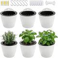 6 Pack White Hanging Planter Pots Self Watering Vertical Garden Wall Mount Window Hang Round Plastic Container Indoor Outdoor for Plants Flowers Succulent Kitchen Living Herbs Holder Decor(Large)