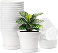 VEVOR Plastic Plant Pots, 16 Packs 6 in Durable Planters, Lightweight Nursery Pots with Drainage Holes & Detachable Saucers, Round Tapered Flower Pot for Indoor & Outdoor Plants, Home Garden Decor