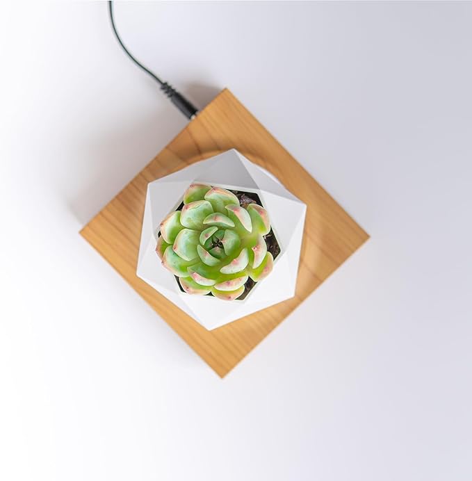 HCNT Levitation Air Bonsai Pot, Magnetic Levitating Mini Rotating Flower Pot Planters Suspension Floating Succulents Pot Sky-Garden Plant Potted for Home, Office