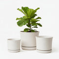 Ceramic Plant Pots Set of 3 with Saucers, 4.3/5.5/7 Inch Planters for Indoor Plants, Drainage Hole Flower Pots for Succulents, Herbs, Aloe, Modern Home Decor, White