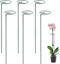 6 Pack Plant Support Stakes, 18 Inch Tall Metal Plant Stakes, Garden Plant Support Stake for Outdoor Indoor Plants, Flower Stake for Lilies, Dahlias, Sunflowers, Tomato, Amaryllis, Peony, Orchid