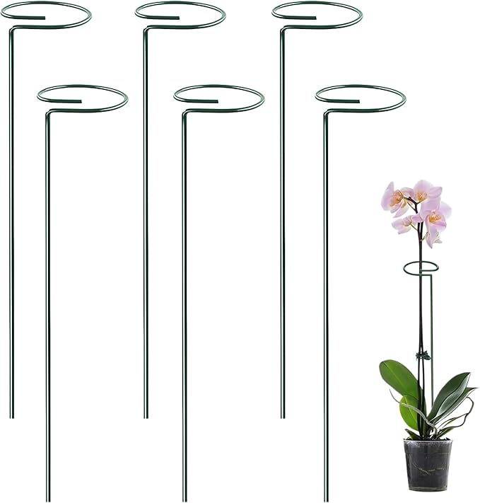 6 Pack Plant Support Stakes, 22 Inch Tall Metal Plant Stakes, Garden Plant Support Stake for Outdoor Indoor Plants, Flower Stake for Lilies, Dahlias, Sunflowers, Tomato, Amaryllis, Peony, Orchid