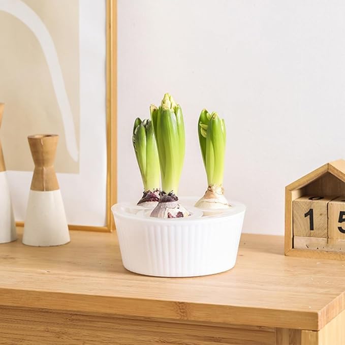 Tulip Planter, Planting Pot 3/5 Hole Design Vertically Ribbed Body Sturdy Base, Bulb Planter for Hydroponic Growing for Tulips Daffodil Bulbs(3/5Hole-PK)