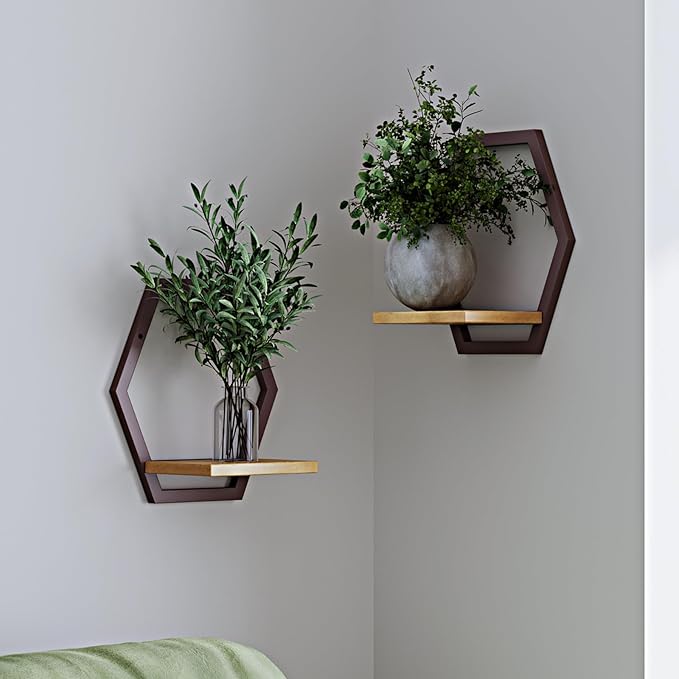 2 Pack Solid Wood & Heavy Duty Metal Wall Plant Stands,9 inch Natural Wood Shelf, Boho Arch Hanging Planter for Indoor 25 LB Load for Plants Coffee