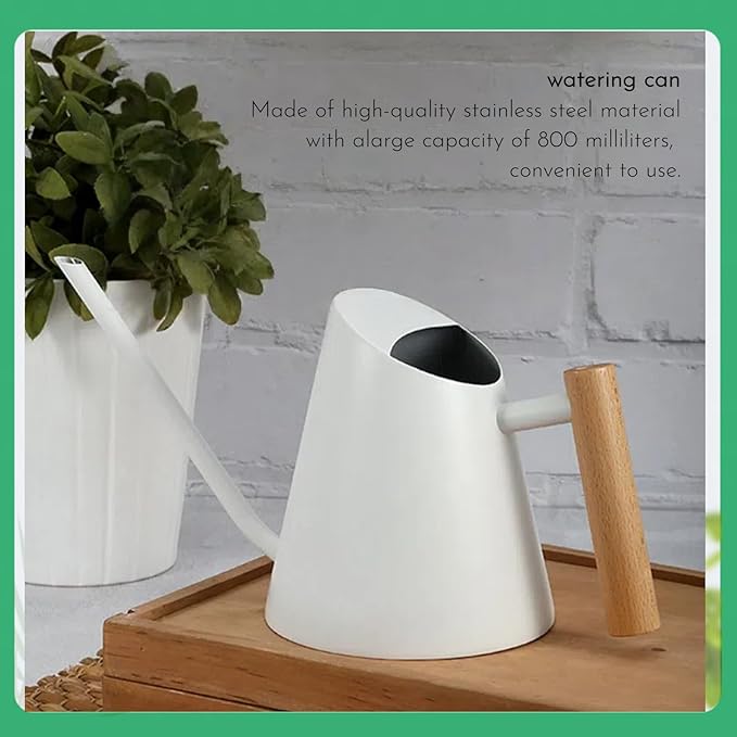 800ml Indoor Watering Can with Long Spout, 28oz Capacity, White Metal with Wood Handle (White-Z2)