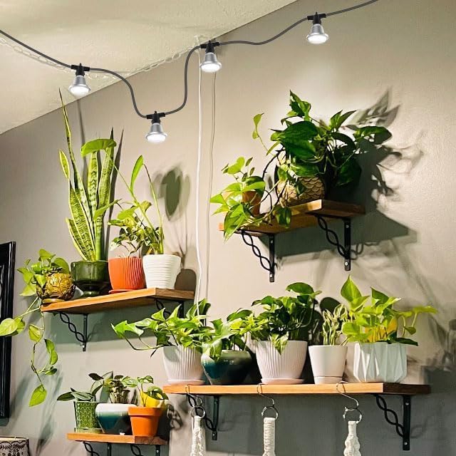 SANSI Hanging Grow Light String for Indoor Outdoor Plants, 6 LED Grow Light Bulbs 72W with Optical Lens for High PPFD, IP65 Waterproof Plant Grow Lamp for Greenhouse Garden (Upgraded)