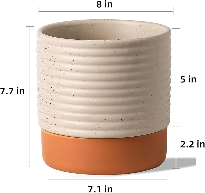 Self Watering Plant Pot : 8 Inch Ceramic Planter with Drainage Hole & Water Storage Plus - Flowerpot for Indoor & Outdoor Plants (Beige & Red-Brown)