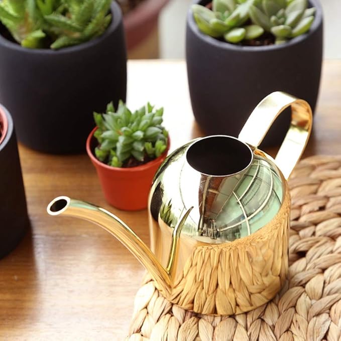 Watering Can for Indoor Outdoor Plants, Stainless Steel Long Spout Watering Cans for House Plants Long Spout Water Can for Succulent Bonsai Garden Flower, 17oz/500ml (Gold)