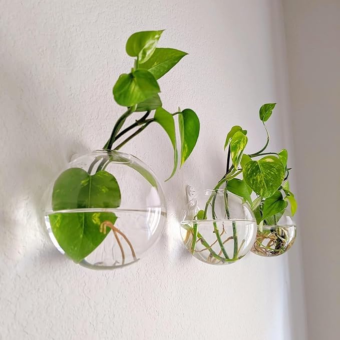 Hanging Wall Planters Pack of 6 Glass Planter Pots Round Glass Flower Vases Hanging Propagation Station Glass Plant Hanger Terrariums Wall Hanging Plant Container