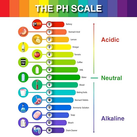 6 Pack pH Test Strips, 480 Strips Full Range 1-14 Universal pH Test Litmus Paper pH Soap Making Testing Strips for Water Wine Saliva Urine Soil, pH Strips and 6 Test Pipette Droppers with Storage Case