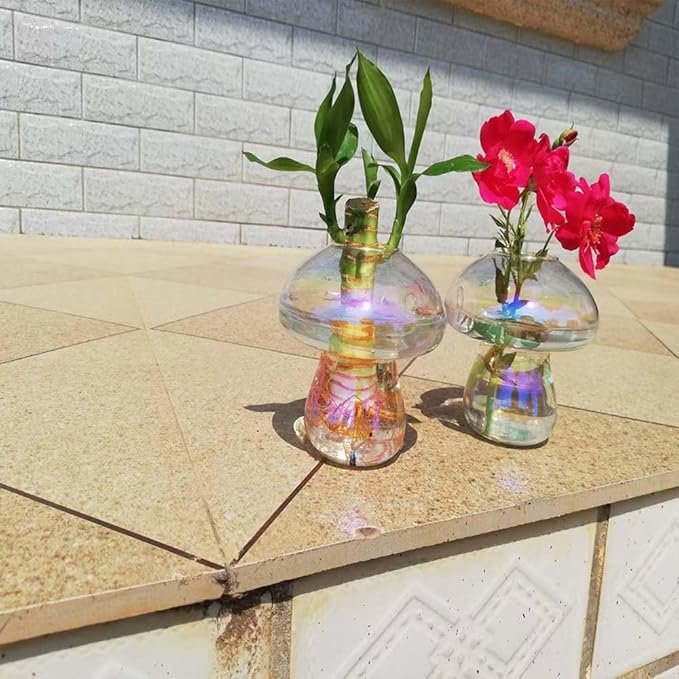 Wall Hanging Mushroom Vase, Small Plant Propagation Station Mushroom Glass Planter Terrarium Indoor Hydroponic Flower Holder for Elegant Home Decor Thanksgiving Gifts, Colorful, 2 PCS