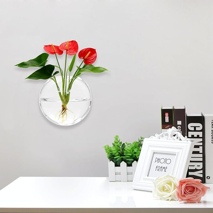 Wall Hanging Planter Propagation Station - 6-Pack Oblate Glass Flower Vases for Hydroponics Plants, Decorative Vases for Bathroom, Home, Office & Living Room, Good Gift
