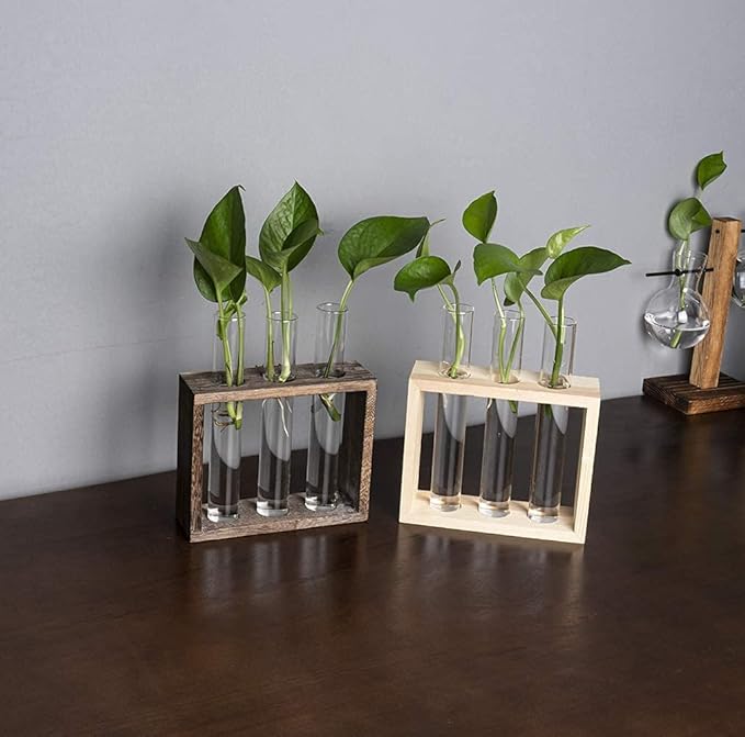 Wall Mounted Hanging Glass Test Tube Planter Propagation Station Glass Vase Rack with Wood Stand, Plant Terrarium Holder for Hydroponics Succulent Air Bamboo Plants with Test Tube