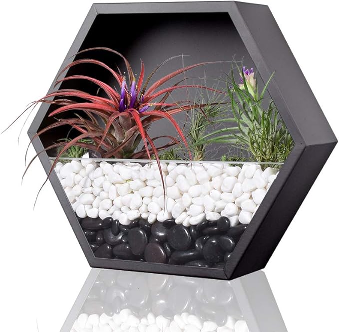 Hanging Hexagon Planter Wall-Mounted Flower Pot Hanging Basket Metal Vase Air Plant Holder Vintage Flower Pot Geometric Planter Succulent Cactus Container (Mixed Set of 3,Black)