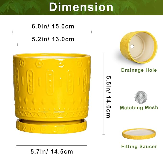 Eightpot 6 Inch Pots for Plants, Ceramic Pots for Plants with Drainage Holes and Tray, Round Planter for Indoor Outdoor, Modern Plant Pot, Decorative Flower Pot, Table Decor, Teacher Gift, Yellow