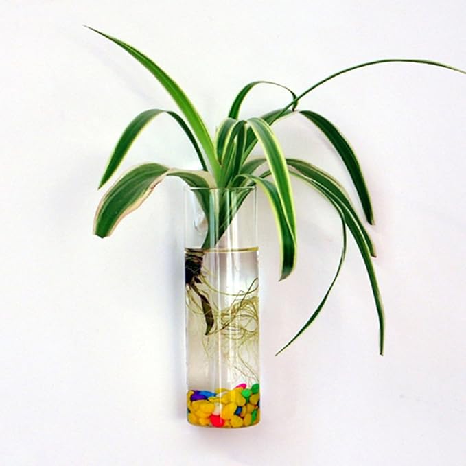 Wall-Mounted Plant Terrarium Propagation Station Hanging Glass Tubes Flower Vase for Hydroponics Plants, Bathroom, Home Offices Living Room Decor Gift, Cylinder