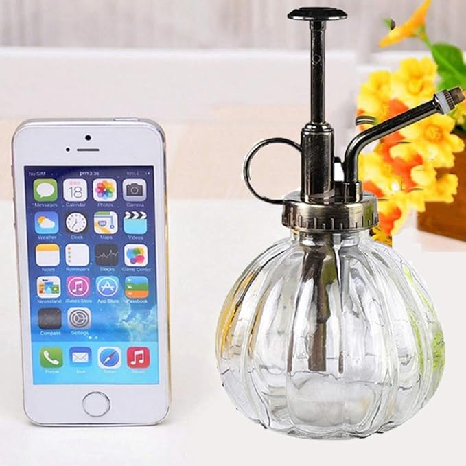 Mr. Plant Glass Water Spray Bottle 6.3 Inch High Round Retro Style Pumpkin Shape Moisturizing Atomizer Plant Fine Mist Cleaning Solution Hairdressing Spray Houseplant (Transparent)