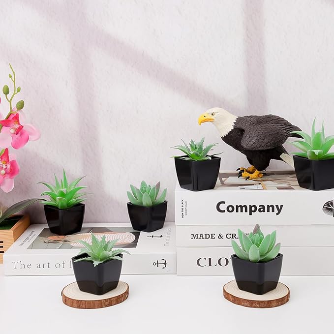 Woration 6pcs Fake Succulent Plants in Black Pots Artificial Mini Succulents Potted Green Decor Set Faux Greenery for Office Desk Table Shelf Party Decorations